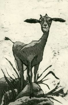 natural by mariann johansen ellis on etsy goats goat art etchings farm