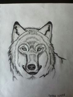 this is my drawing of a gray wolf which i did thanks to mark crilley s tutorial
