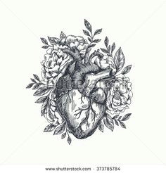 anatomical heart with flowers vector illustration