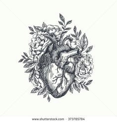 Drawing Of A Heart attack 1596 Best Anatomical Heart Images Anatomical Heart Human Heart