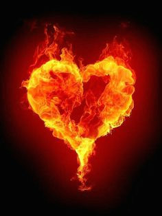 fire heart gifs fire art i love heart my heart fire and