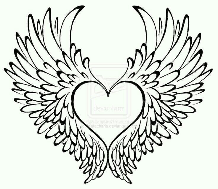 heart has wings
