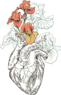 drawing human heart with flowers by olgaberlet human heart drawing human heart tattoo human