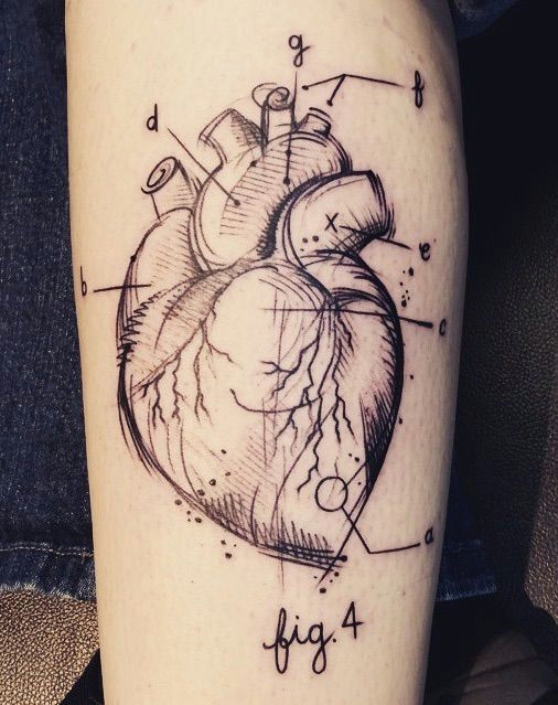 abstract anatomical heart tattoo label sketch