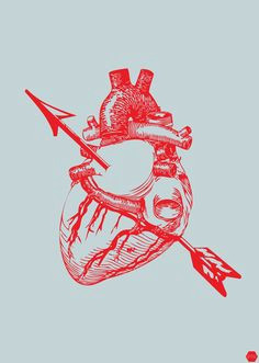heart gravure illustration heart illustration anatomy art human anatomy heart images