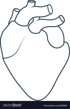 heart anatomy snake tattoo anatomical heart