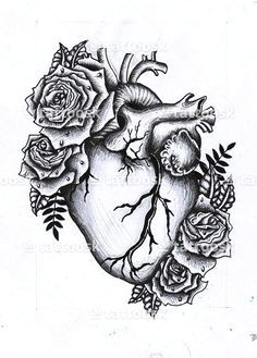 heart and flowers human heart tattoo human heart drawing rose heart tattoo heart