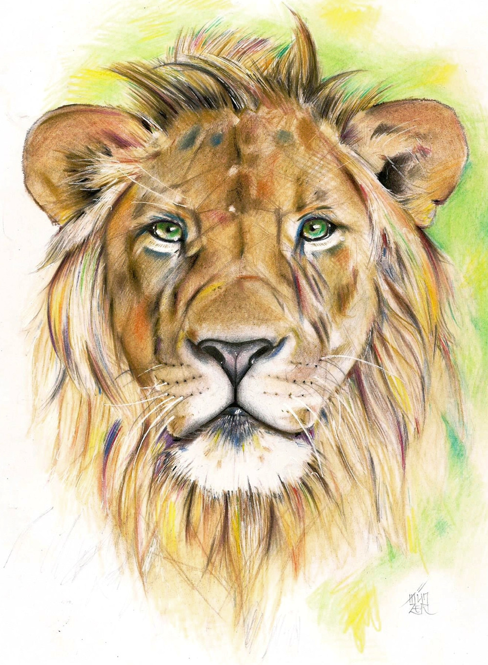 colored pencils drawing a4 love drawings pencil drawings lion art drawing lessons