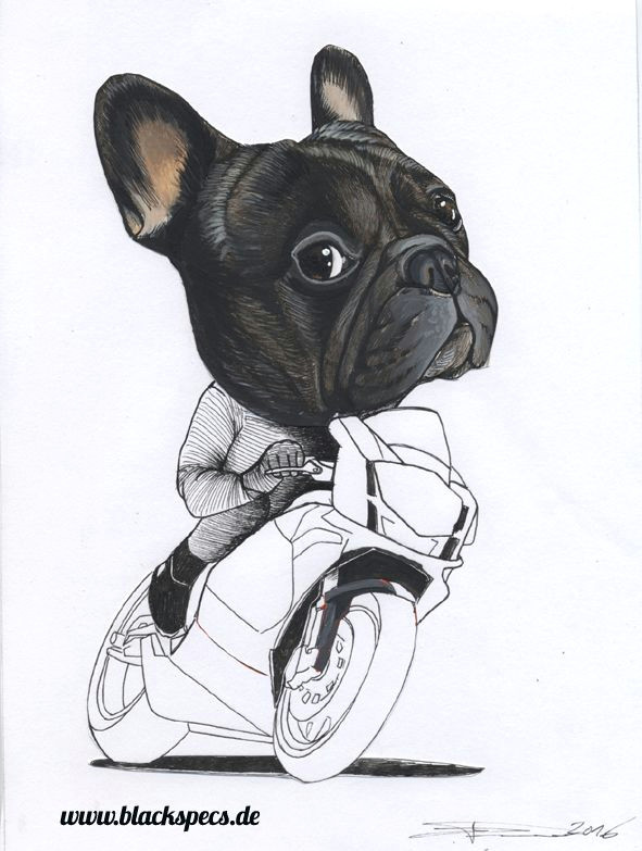 sketchbook page of a french bulldog by jeroen teunen the dog painter for custom dog portraits visit www blackspecs de