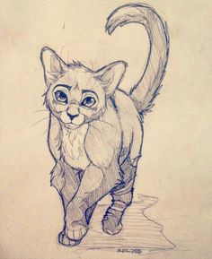 warrior drawing warrior cat drawings warrior cats art warrior cats books warrior