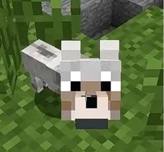 baby wolf image minecraft dogs minecraft cake cool minecraft how to play minecraft