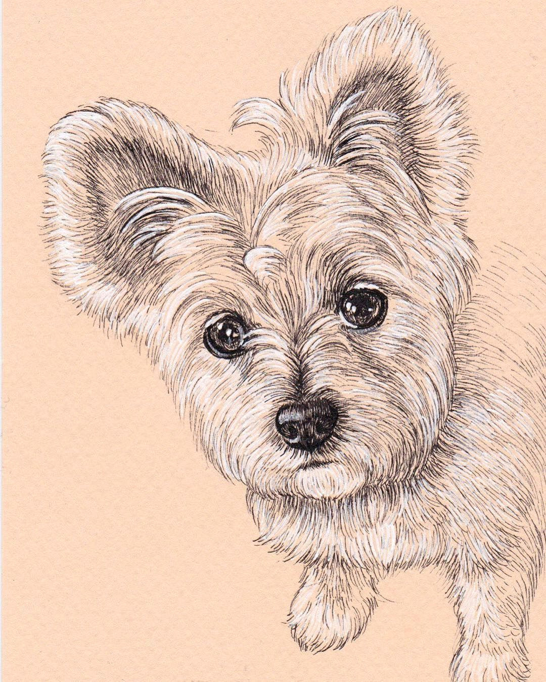 lisa creative lab custom pet portrait from photo dog portrait sketch cat portrait card dog mom gift present ideas fineliner art micron pen