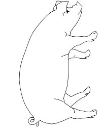 image result for pigs drawing