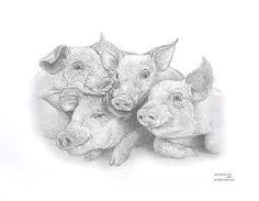 image result for pigs drawing hard drawings pig drawing pig illustration pig art