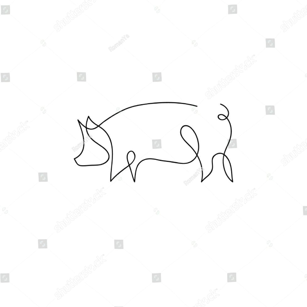 single line pig drawing