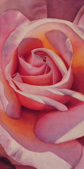 pink rose on canvas 12 x24 watercolor by doris joa