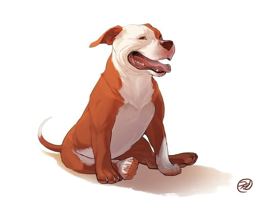 dog series pitbull by elisa kwon