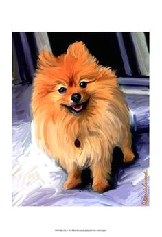 dog paintings cute dogs adorable puppies dog portraits dog art art prints animals drawings pomeranians