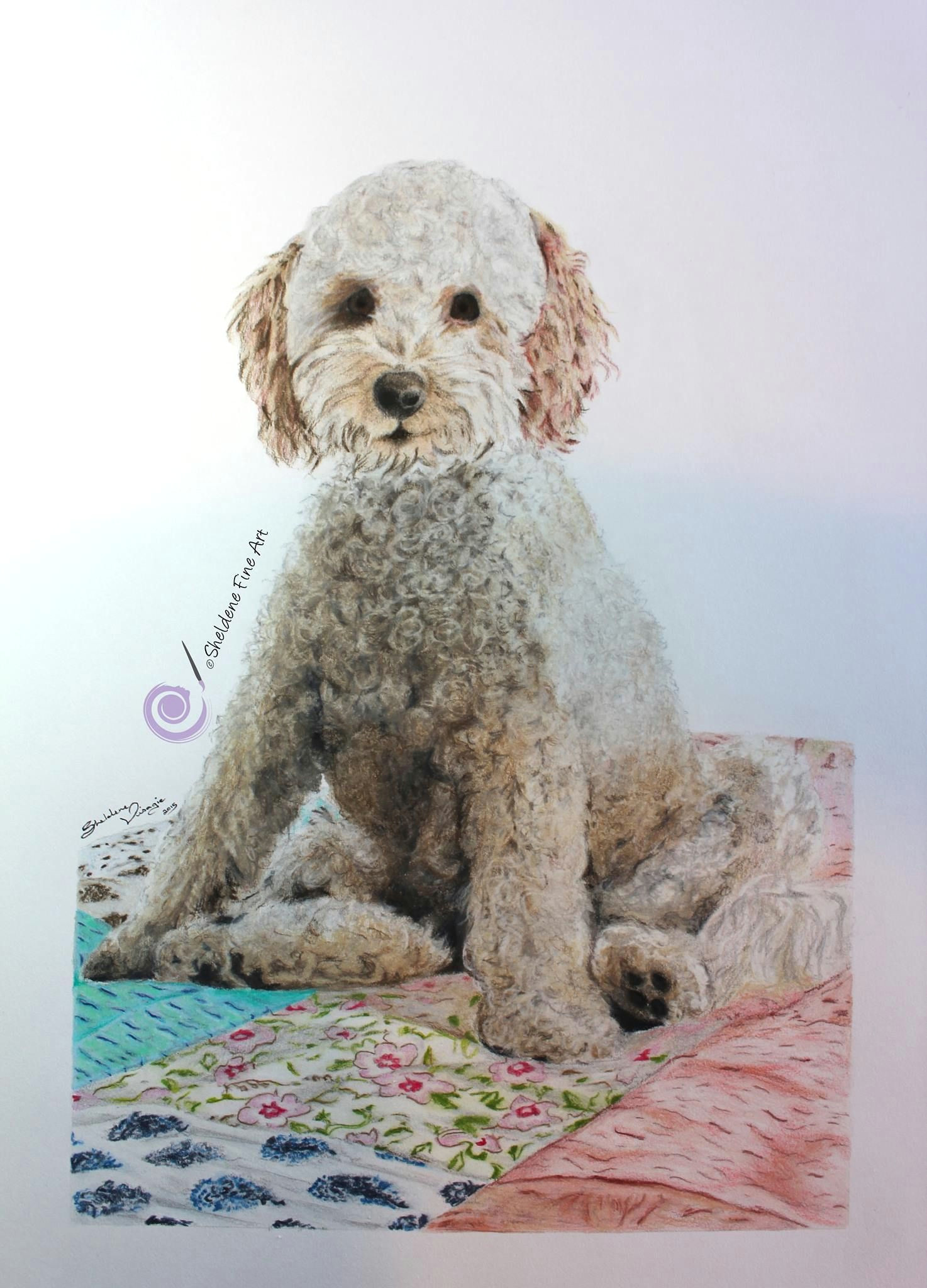 drawing of peanut the toy poodle