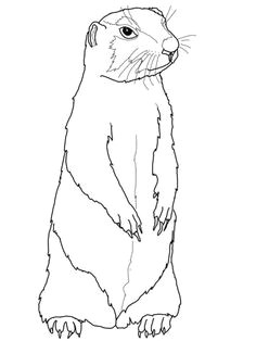 Drawing Of A Prairie Dog 30 Best Animal Coloring Pages Images Coloring Pages Animal