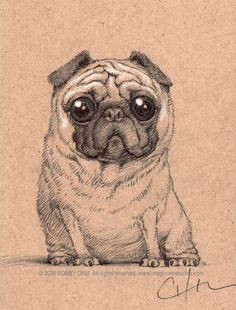 awh i usually don t like pugs but this one is adorable