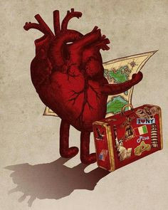 heart shapes heart illustration travel illustration your heart michael palin human