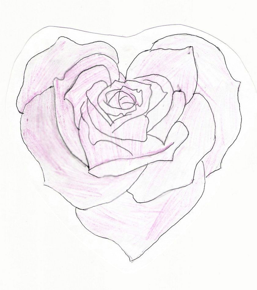 Drawing Of A Rose and Heart Heart Shaped Rose Drawing Heart Shaped Rose by Feeohnah Art