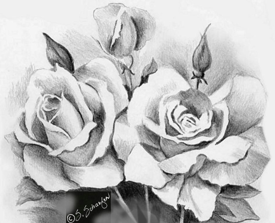 Drawing Of A Rose Bouquet Beautiful Sketches Of Flowers Beautiful Rose Flower Bouquet