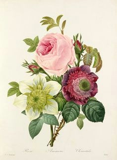 vintage flower bouquet illustration google search