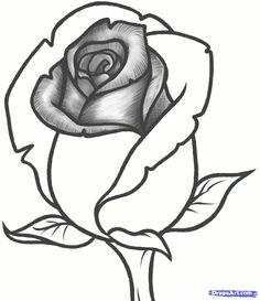 how to draw a rose bud rose bud step by step flowers pop