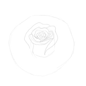 rose bud sketch 3