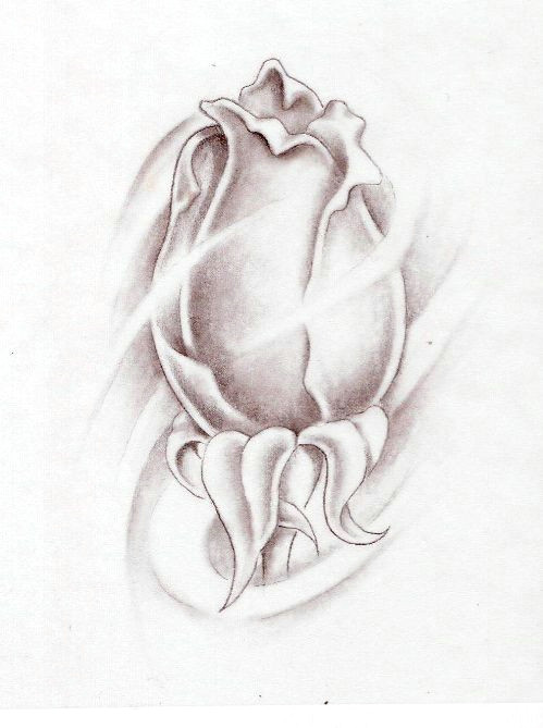 rose bud tattoo