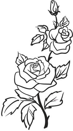 rose outline google search more