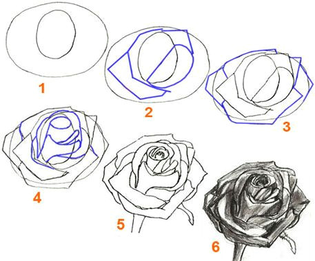 100 best how to draw tutorials flowers images drawing techniques learn drawing drawing flowers