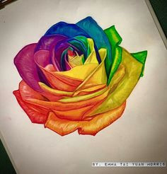 rainbow rose artwork personally hand drawn colorrealism color rosetattoo