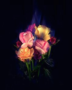 matt collishaw like that there are multiple flowers on fire here and again colour is