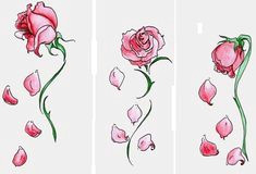dead rose tattoo rose drawing tattoo rose drawings tattoo drawings rose heart