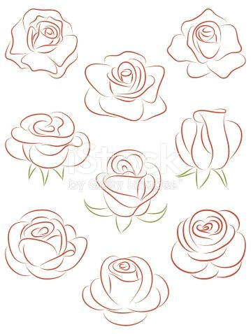 set of roses vector illustration