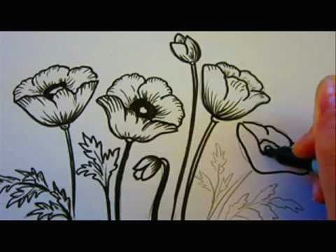 video by overnightartist how to draw poppy flower tutorial video after you watch this poppy flower step by step drawing lesson you will be abl