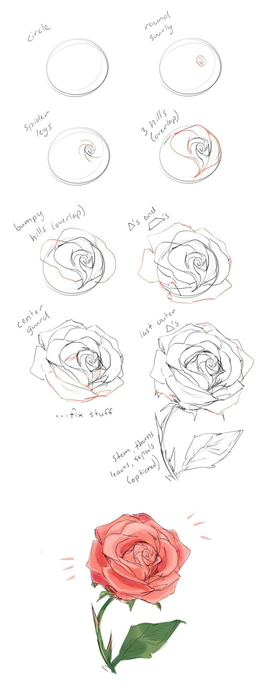 how to draw a rose tutorial by cherrimut on tumblr