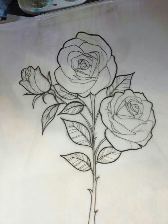 rose outline drawing rose drawing tattoo tattoo sketches tattoo drawings drawing sketches