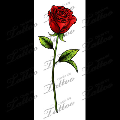 sbink single red rose