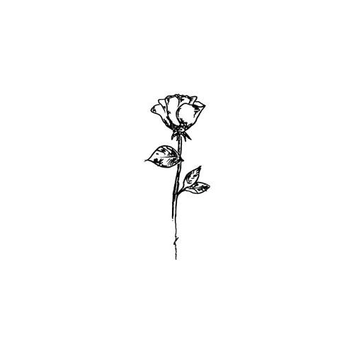 imagen de rose art and flowers