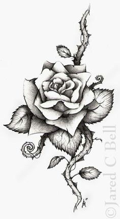 rose tattoo drawings and designs