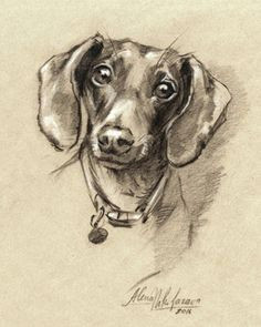 dog dachshund portrait doxie 7 instant by digitalscrapshop mini dachshund dachshund drawing