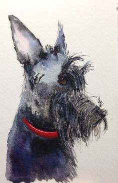 original watercolour scottish terrier scottie dog