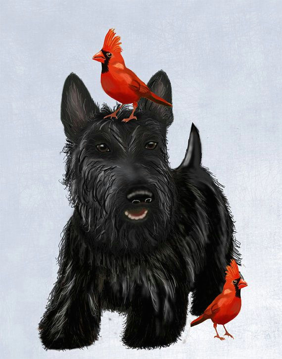 scottie dog red birds 14x11 scottish terrier art print picture painting dog graphic illustration art picture poster drawing gift dog lover