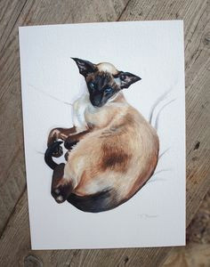 seal point siamese cat giclee print of watercolour painting limited edition simease cats siamese