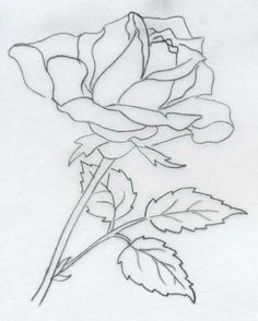 rose drawings various rose drawings rose drawing simple drawing projects drawing lessons