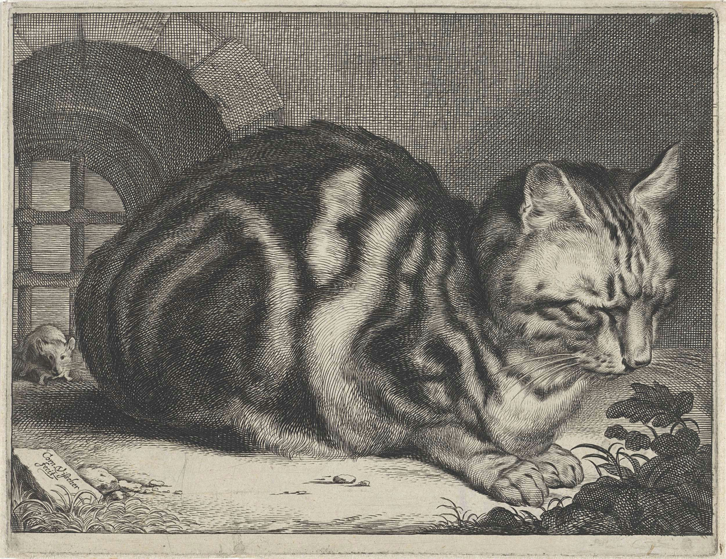 cornelis visscher ii the large cat cornelis visscher ii 1657 voor een raam met tralies zit een in elkaar gedoken kat achter de kat zit een muis